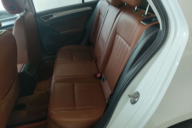 Volkswagen Golf 2020 car image #17