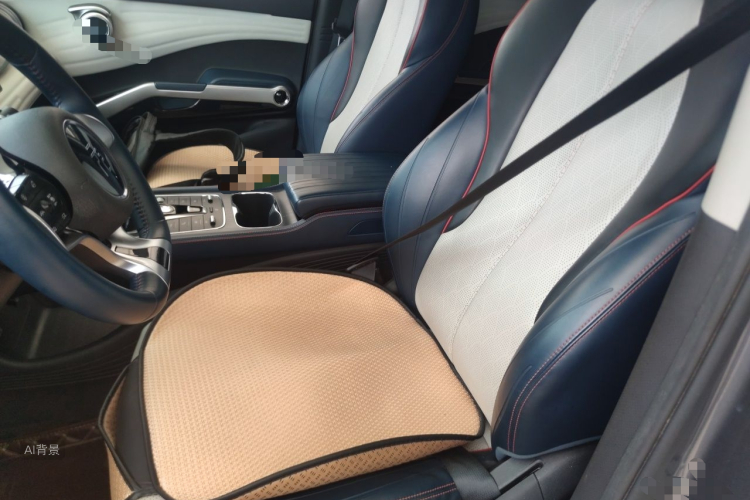 BYD Yuan Plus 2022 car image #17