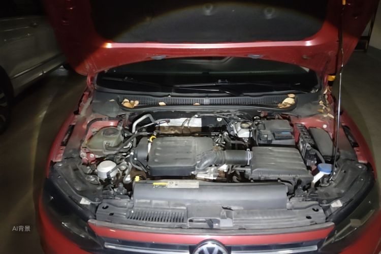 Volkswagen Polo 2020 immagine di auto #22
