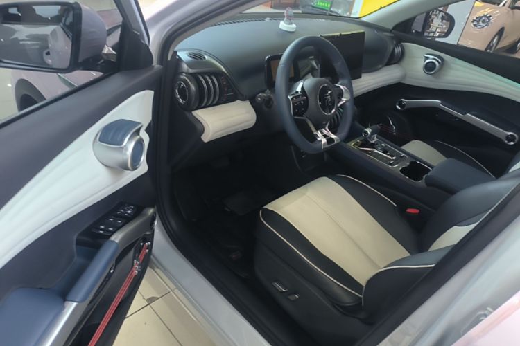 BYD Yuan Plus 2023 car image #16