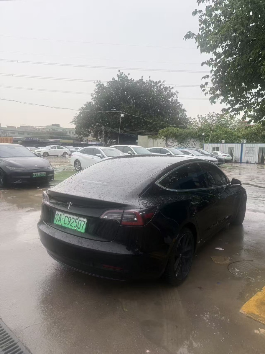 Tesla Model 3 (Imported) 2019 car image #4