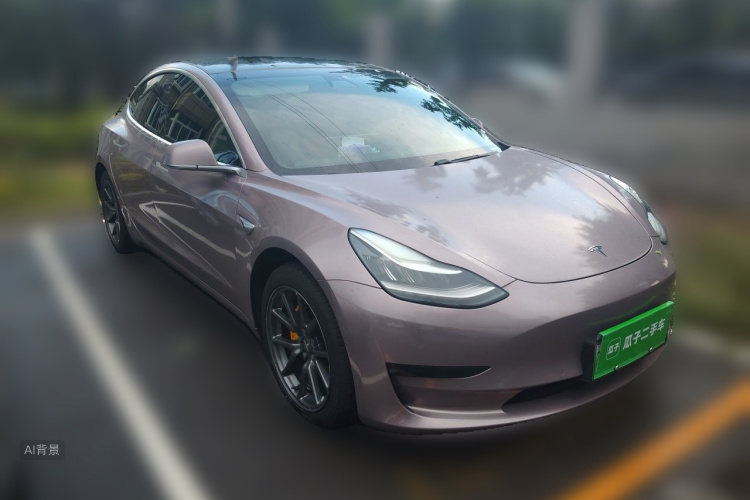 Tesla Model 3 2020 immagine di auto #4