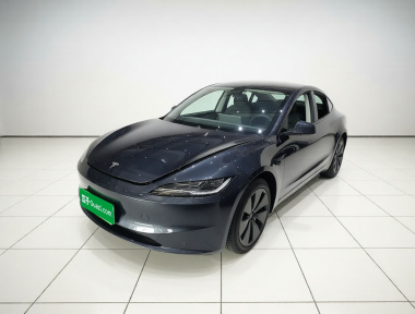 Tesla Model 3 2024 Tesla Model 3 2024 car image