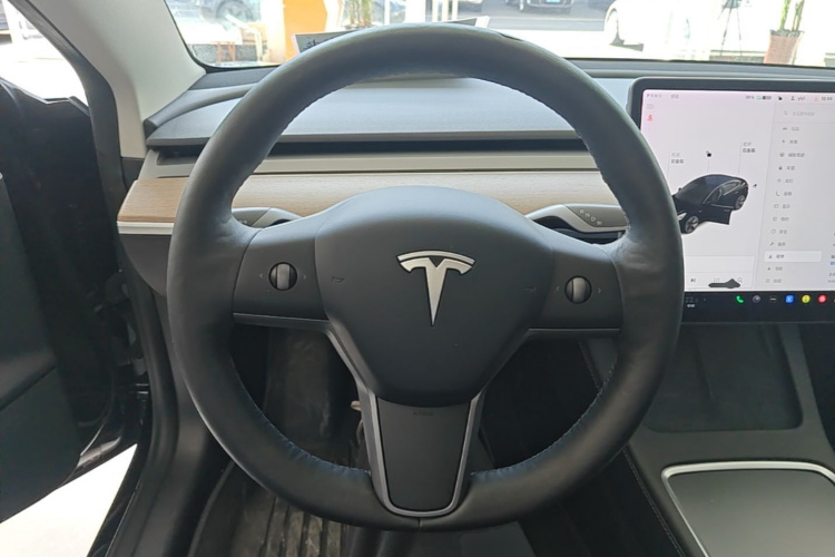 Tesla Model 3 2021 #11 Tesla Model 3 2021 car image #11