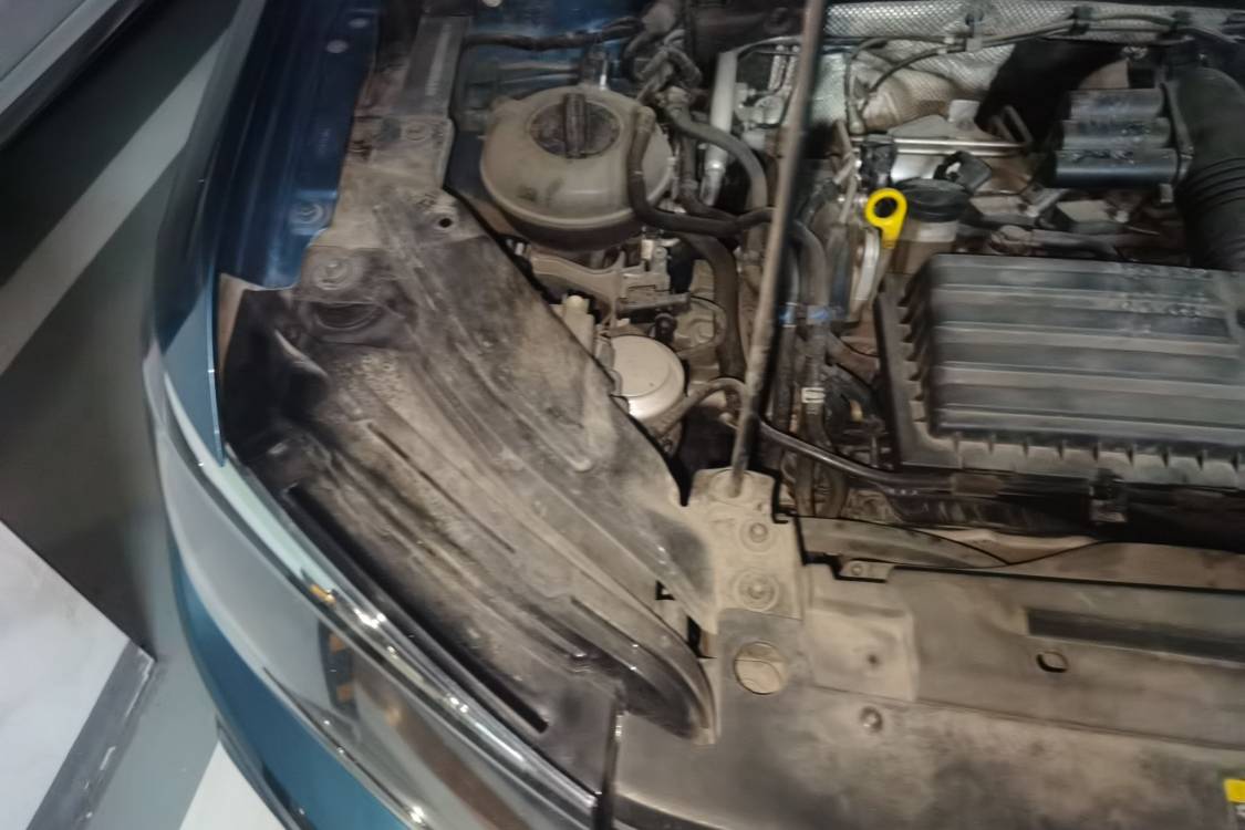 Volkswagen Tharu 2019 car image #11