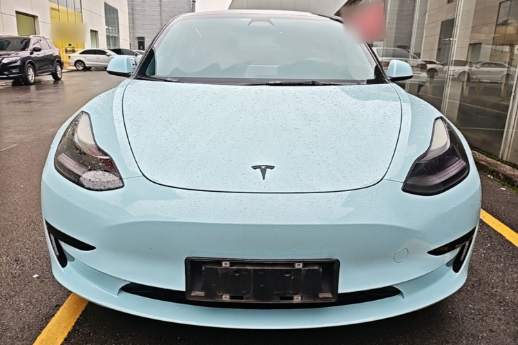 Tesla Model 3 2022 #3 Tesla Model 3 2022 صورة سيارة #3