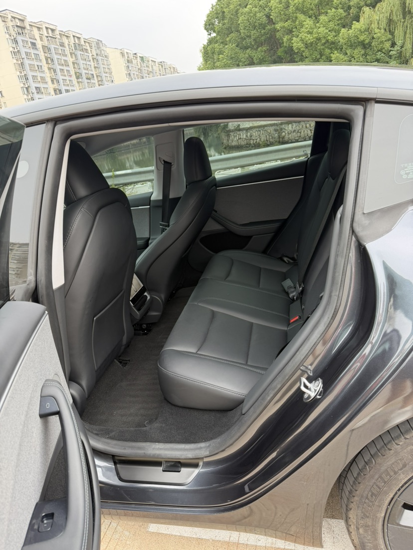 Tesla Model 3 2024 #6 Tesla Model 3 2024 car image #6