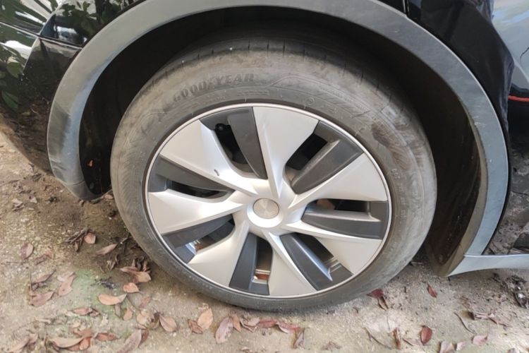 Tesla Model Y 2023 car image #10