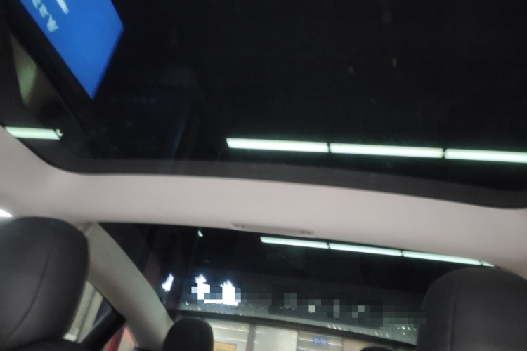 Tesla Model 3 2021 immagine di auto #20