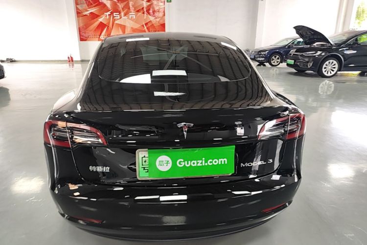 Tesla Model 3 2021 car image #6