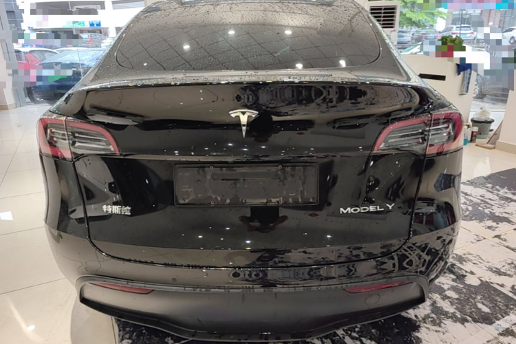 Tesla Model Y 2022 car image #6