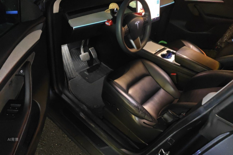 Tesla Model Y 2022 #18 Tesla Model Y 2022 صورة سيارة #18
