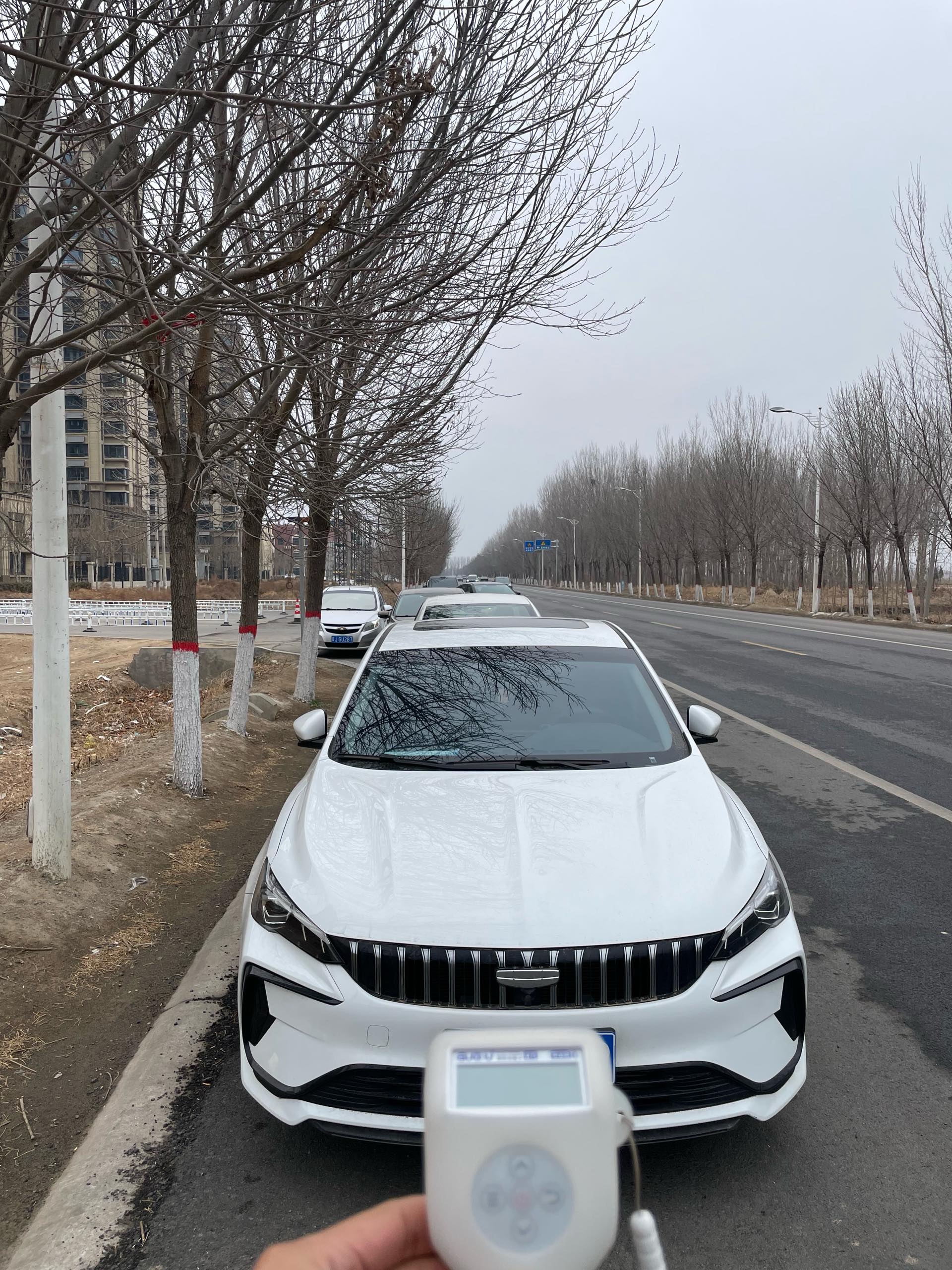 GEELY Binray 2024 image de voiture #2