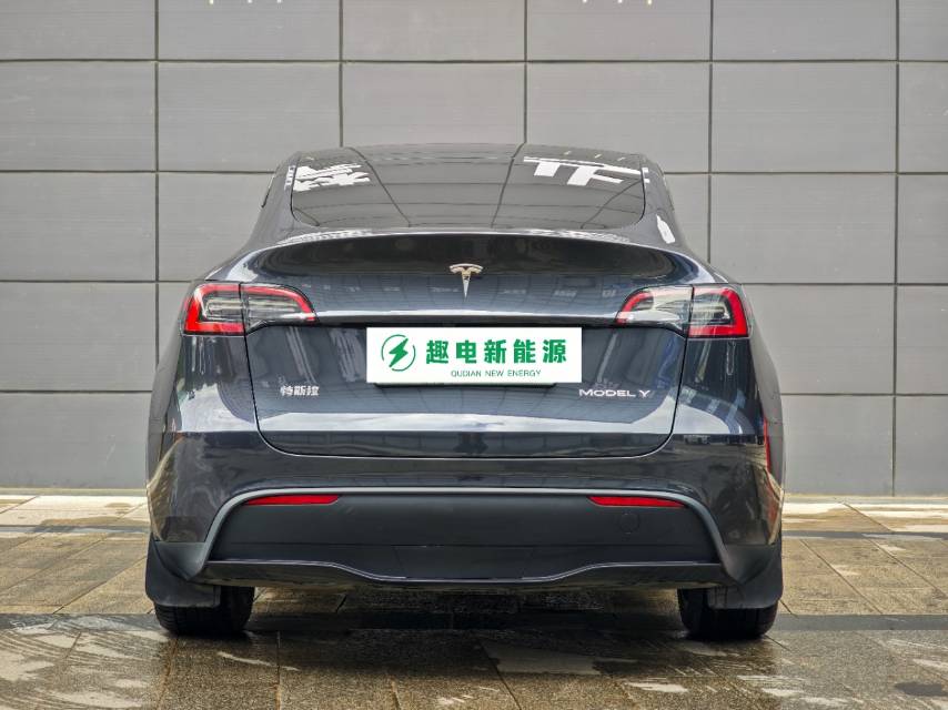 Tesla Model Y 2024 #10 Tesla Model Y 2024 car image #10