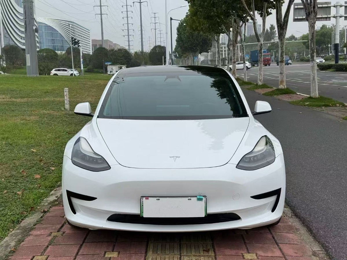 Tesla Model 3 2021 Tesla Model 3 2021 immagine di auto