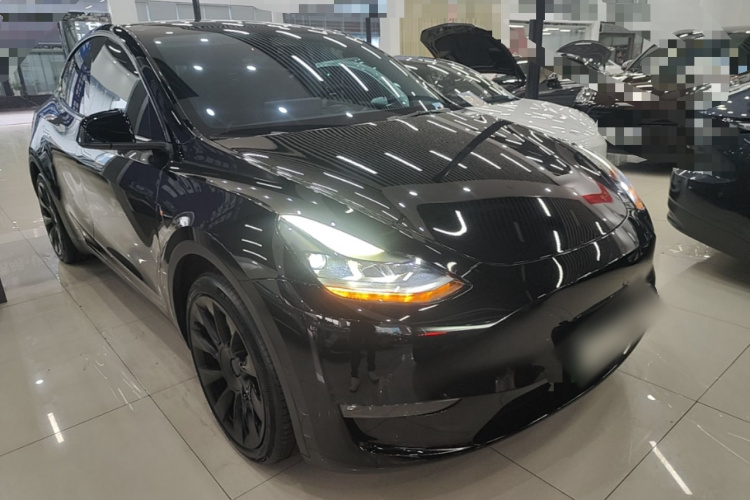 Tesla Model Y 2021 #4 Tesla Model Y 2021 car image #4