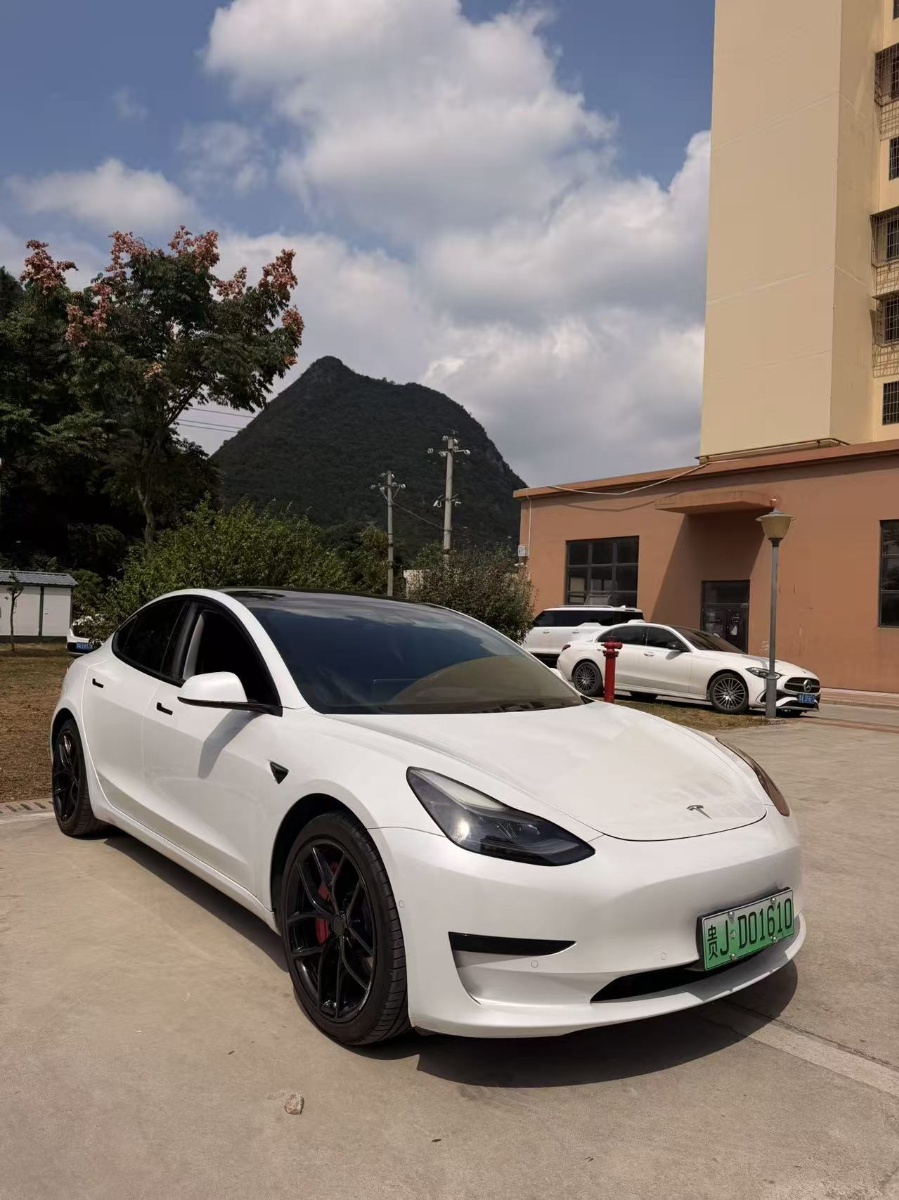 Tesla Model 3 2021 imagem de carro #3