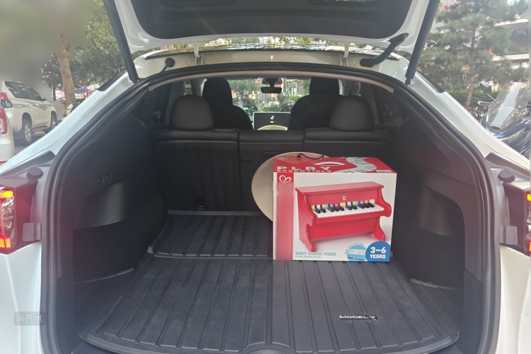 Tesla Model Y 2022 car image #21