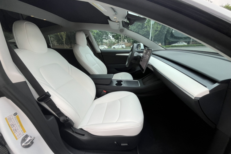 Tesla Model 3 2021 #21 Tesla Model 3 2021 car image #21