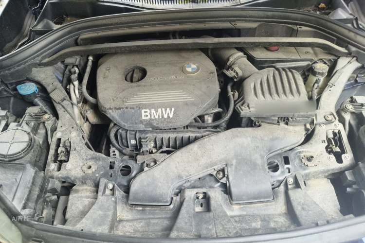 BMW X1 2017 car image #22
