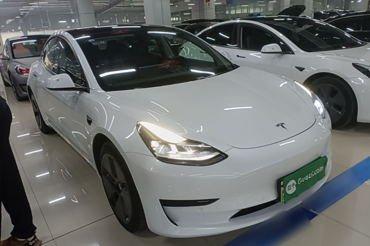Tesla Model 3 2021 #4 Tesla Model 3 2021 car image #4