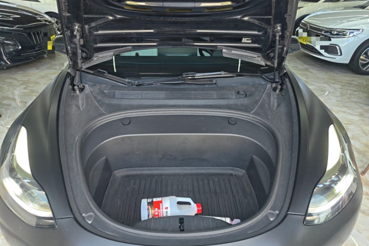 Tesla Model 3 2021 #20 Tesla Model 3 2021 immagine di auto #20