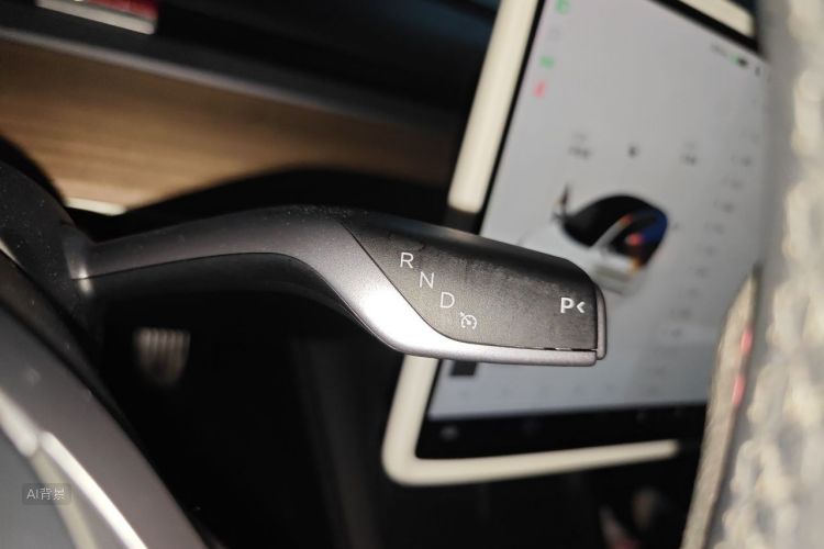 Tesla Model 3 2023 car image #16