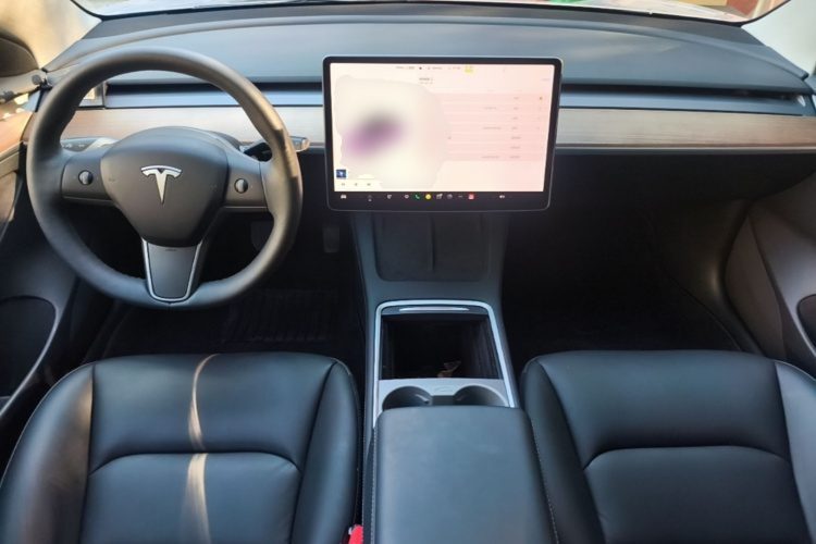 Tesla Model 3 2021 car image #10