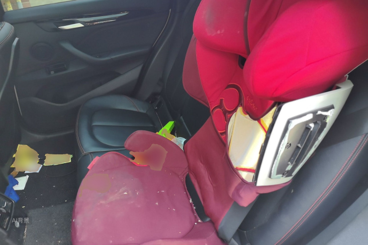 BMW X1 2017 car image #19