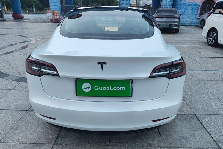 Tesla Model 3 2021 car image #6