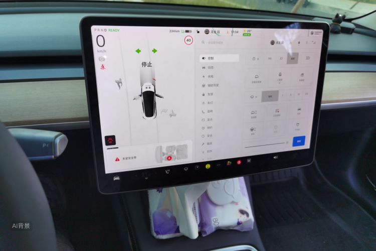 Tesla Model 3 2021 #13 Tesla Model 3 2021 car image #13