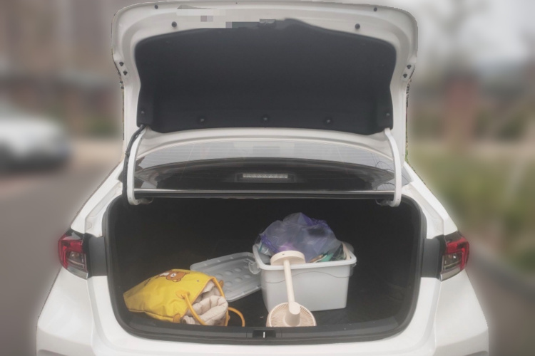 Toyota Corolla 2022 car image #21
