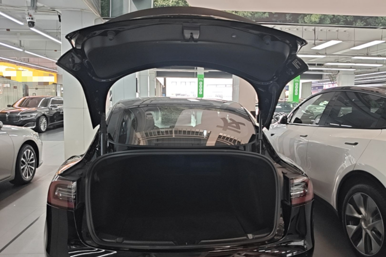 Tesla Model 3 2021 #18 Tesla Model 3 2021 immagine di auto #18