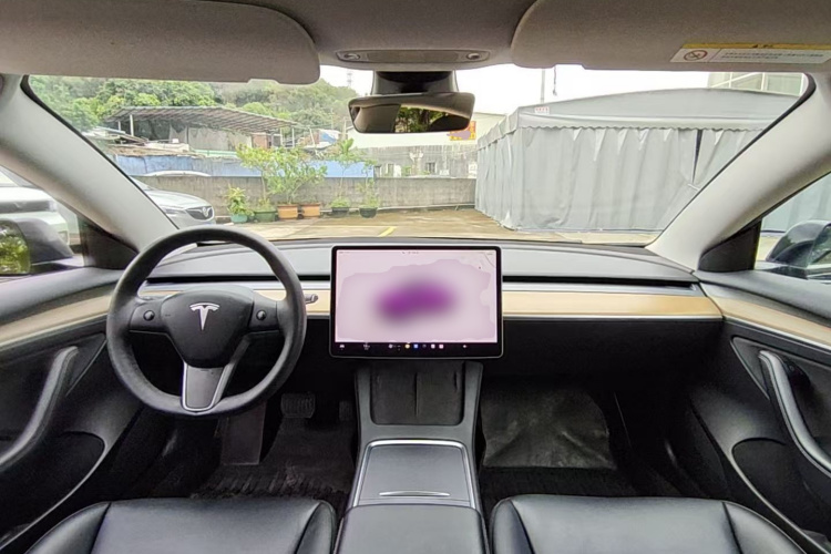 Tesla Model 3 2021 immagine di auto #10