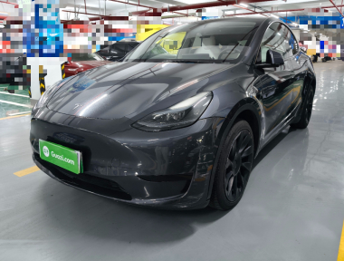Tesla Model Y 2022 car image 