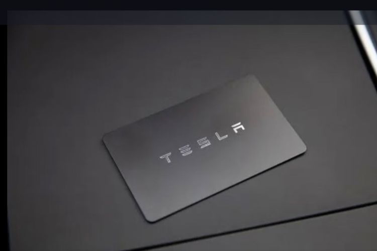 Tesla Model 3 2021 immagine di auto #9