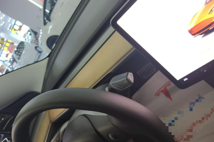 Tesla Model 3 2022 car image #14