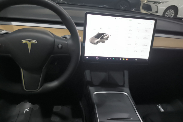 Tesla Model 3 2021 car image #10