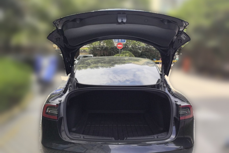 Tesla Model 3 2022 #17 Tesla Model 3 2022 car image #17