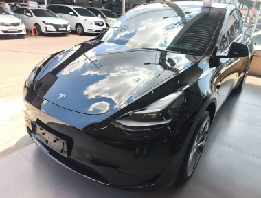 Tesla Model Y 2023 car image 