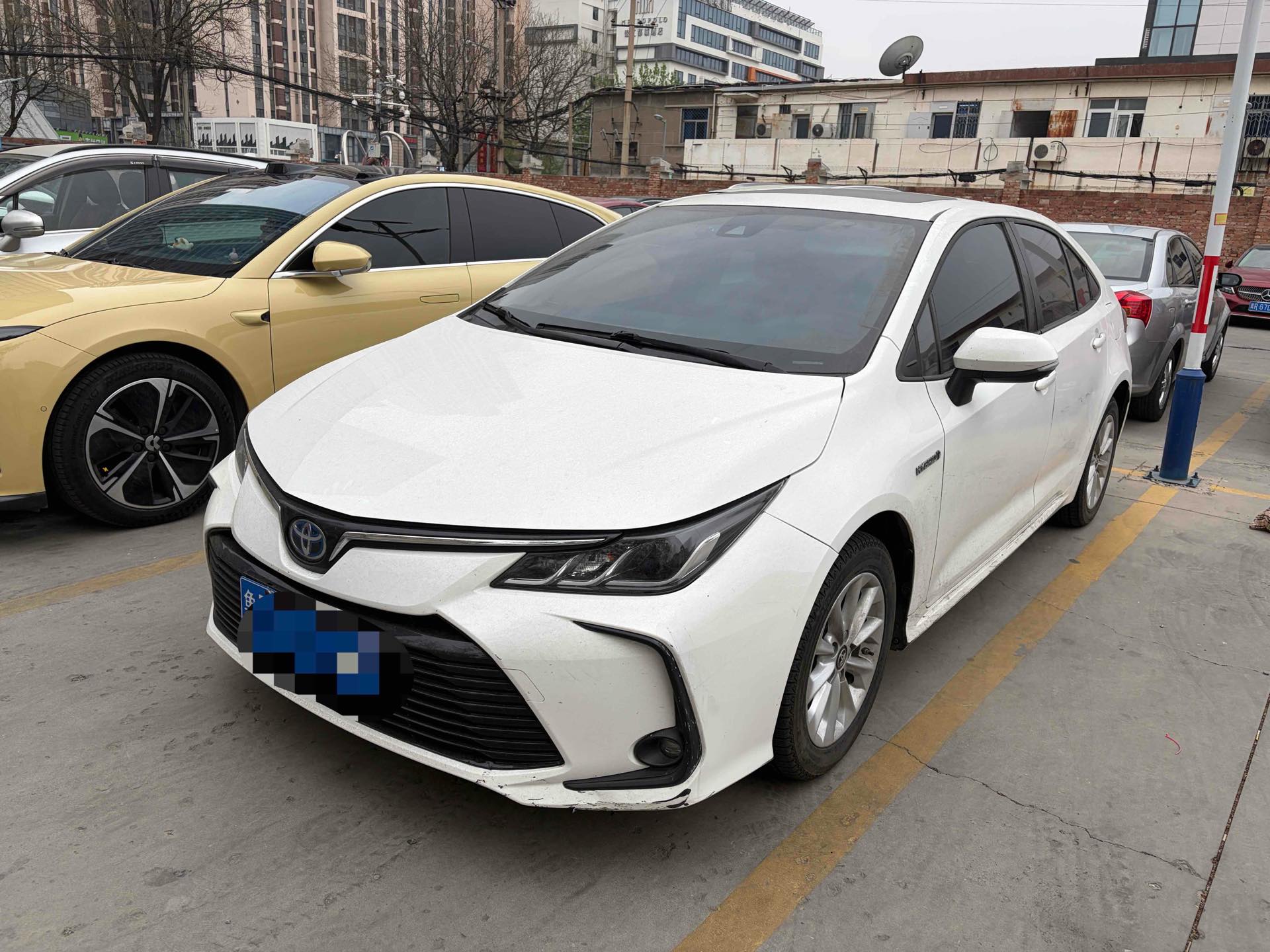 Toyota Corolla 2022 car image 
