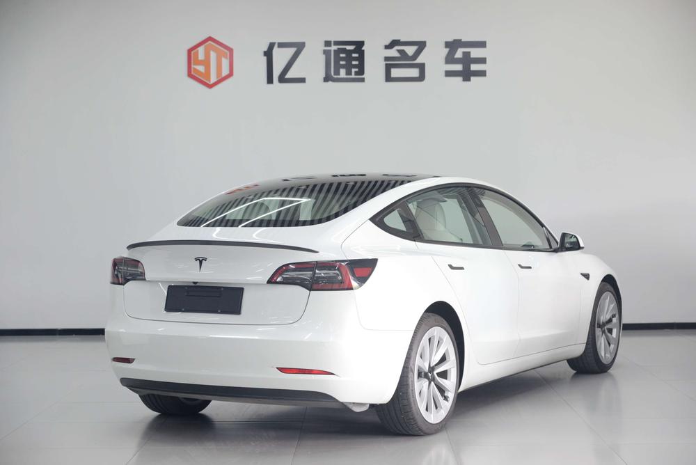 Tesla Model 3 2021 imagem de carro #6