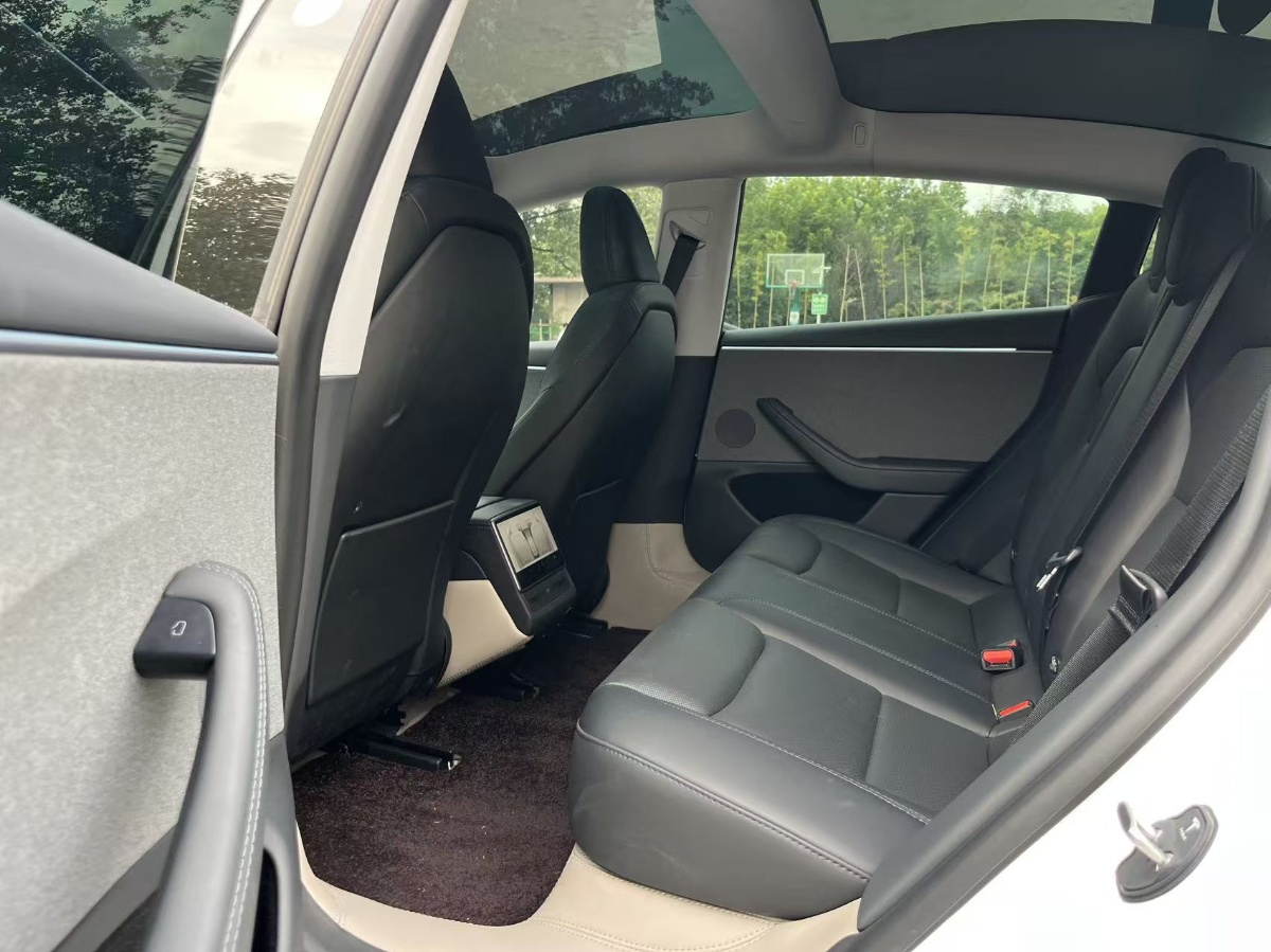 Tesla Model 3 2026 car image #6