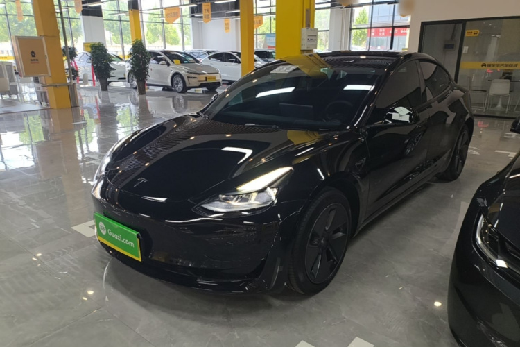 Tesla Model 3 2023 #2 Tesla Model 3 2023 car image #2