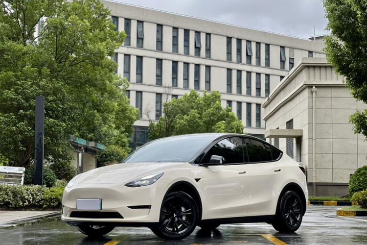 Tesla Model Y 2023 car image #2