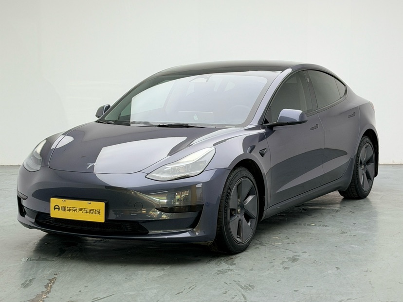 Tesla Model 3 2022 Tesla Model 3 2022 car image