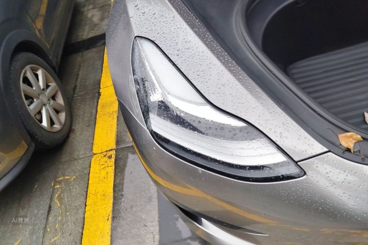 Tesla Model 3 2020 car image #8