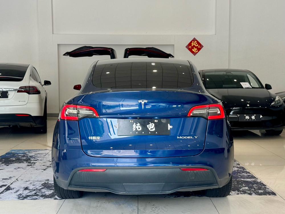 Tesla Model Y 2021 #6 Tesla Model Y 2021 car image #6