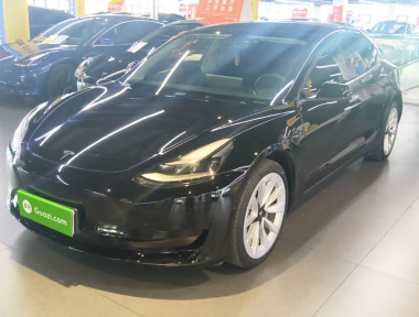 Tesla Model 3 2021 Tesla Model 3 2021 immagine di auto
