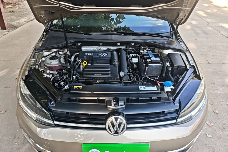 Volkswagen Golf 2019 car image #20